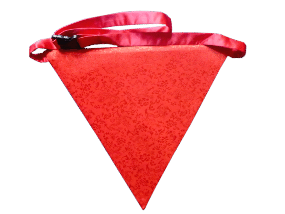 17th Degree - Apron - Image 2