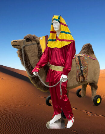Ride-on Camel