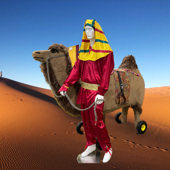 Ride-on Camel