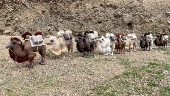 Two Hump Caravan Camel - Image 2