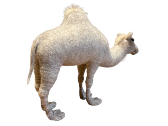 Dormidary camel - Image 2