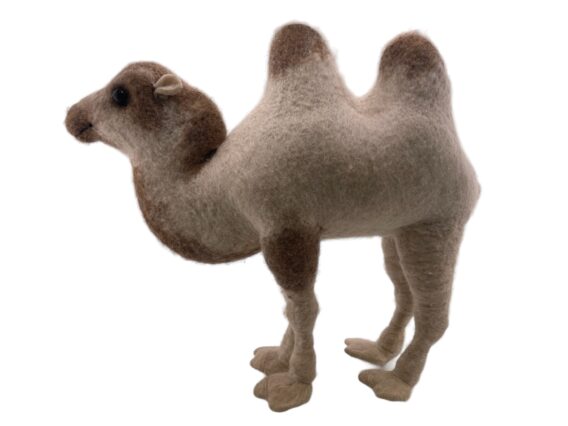 Two humpy - Image 7