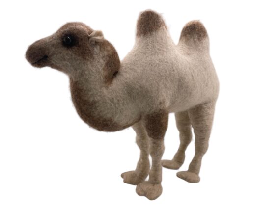 Two humpy - Image 6