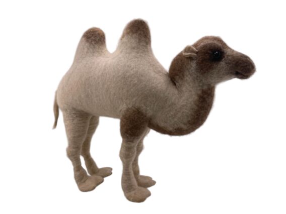 Two humpy - Image 8
