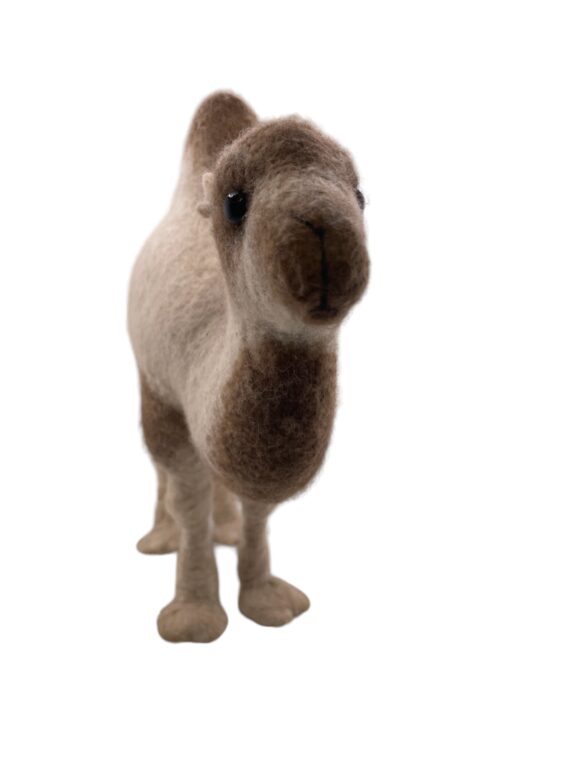 Two humpy - Image 9