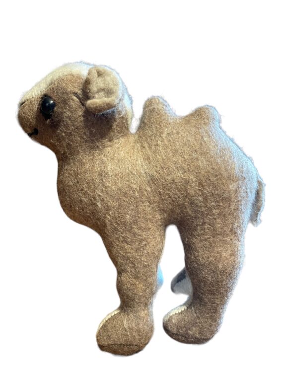 Bactrian Camel Calf - Image 2