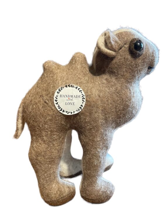 Bactrian Camel Calf - Image 3