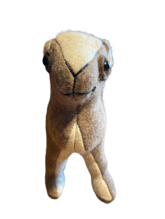 Bactrian Camel Calf - Image 4